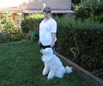 Doris and Caruso

are playing in our back yard.

July 2006