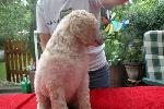  02 4 weeks old July 2005.jpg
